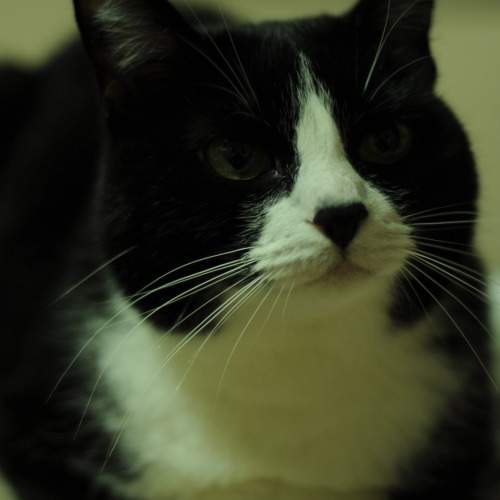 Photo #9983956