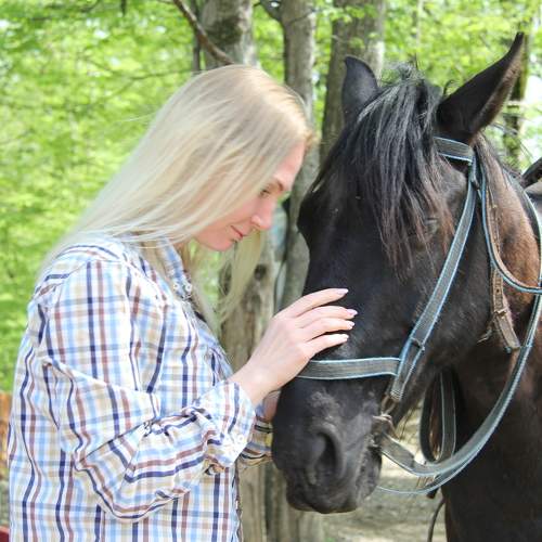 Photo #9984237