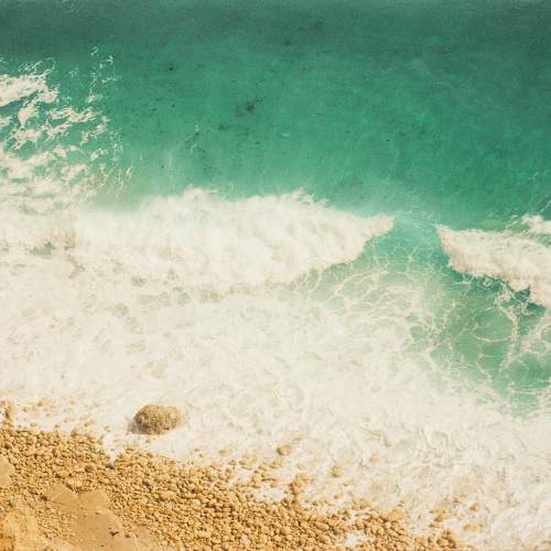 Photo #9984264