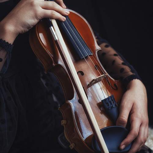 Photo #9984490
