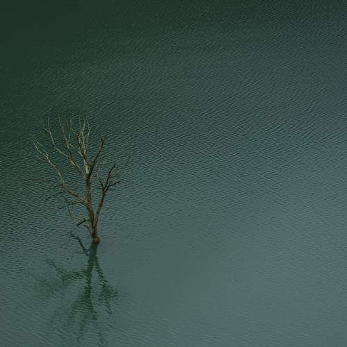 Photo #9984766