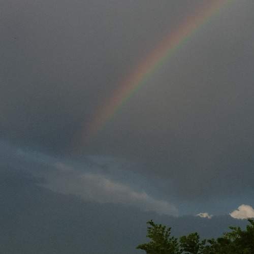 Photo #9985147