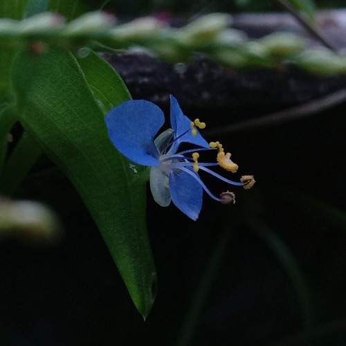 Photo #9985401