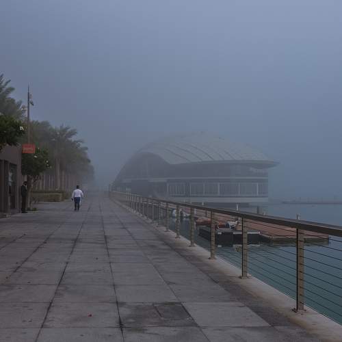 Morning walk