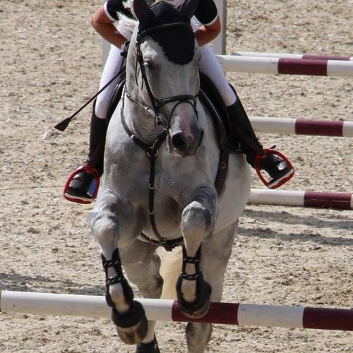 Photo #9986005
