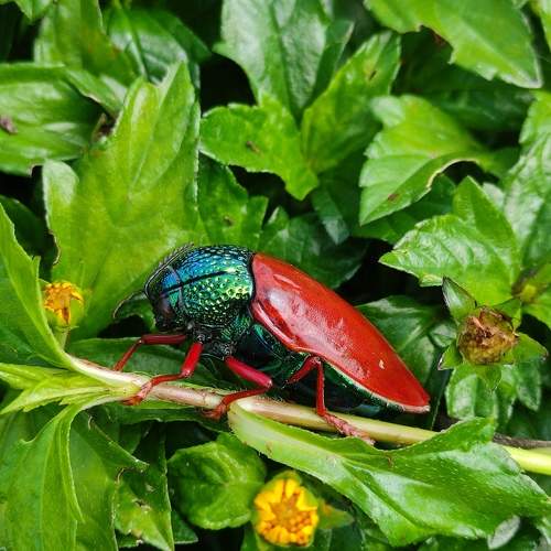 Photo #9986011
