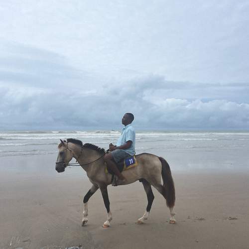Photo #9986138