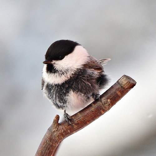 Photo #9986204