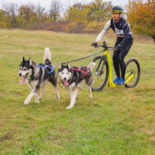 Photo #9986265