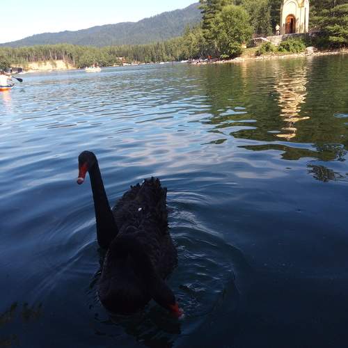 Photo #9986331