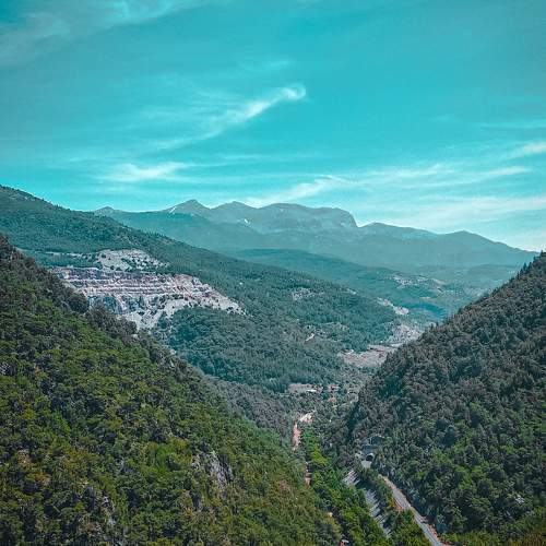 Photo #9986390
