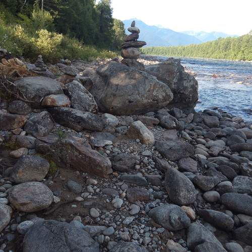 Photo #9986455