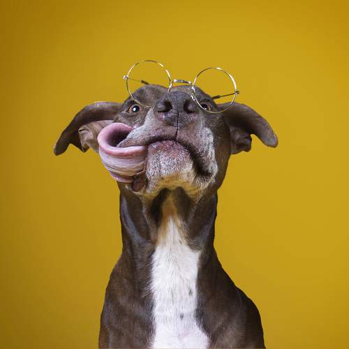 Photo #9987024