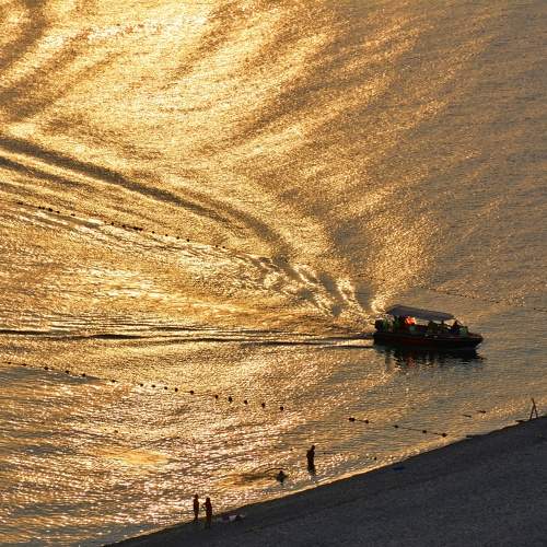 Photo #9987244