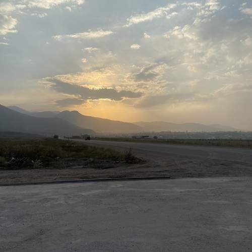 Photo #9987254
