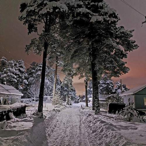 Photo #9987597