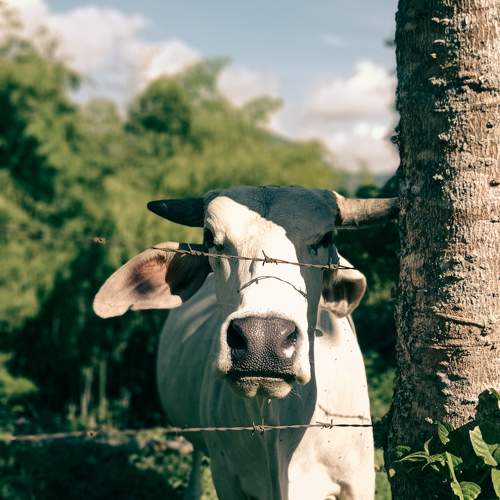 Photo #9988286