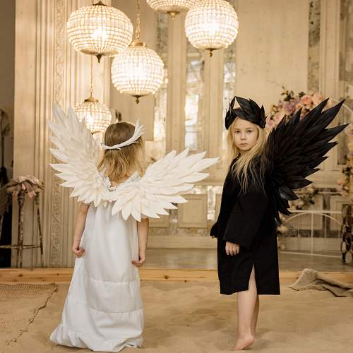 Photo #9988746