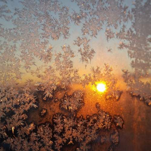 Photo #9989093