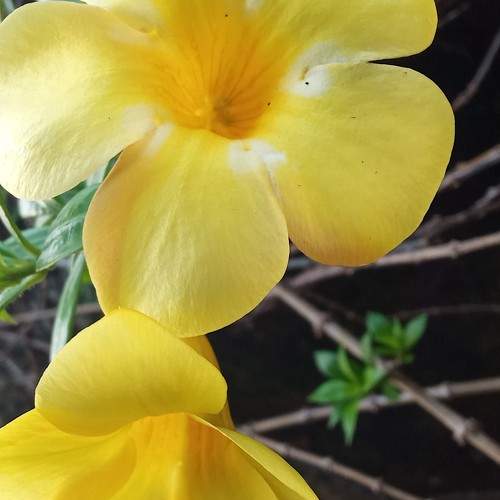 Photo #9989257
