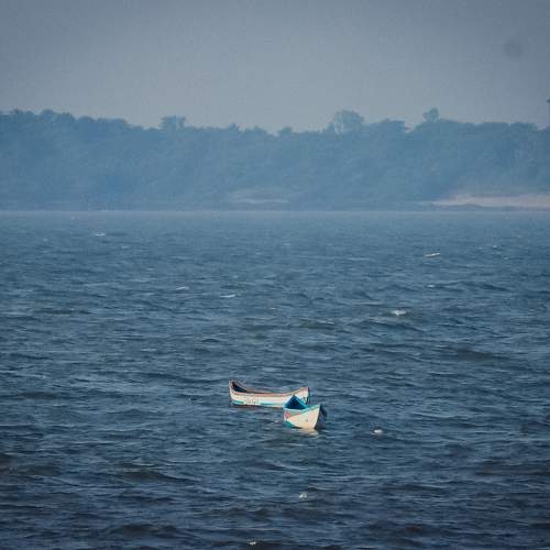 Photo #9989562
