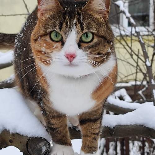 Photo #9989657