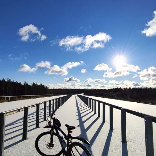 Photo #9989790