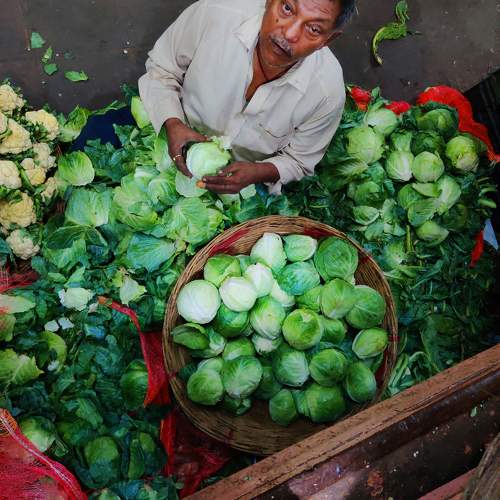 The Vegetable Man