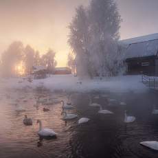 Рубан Алёна