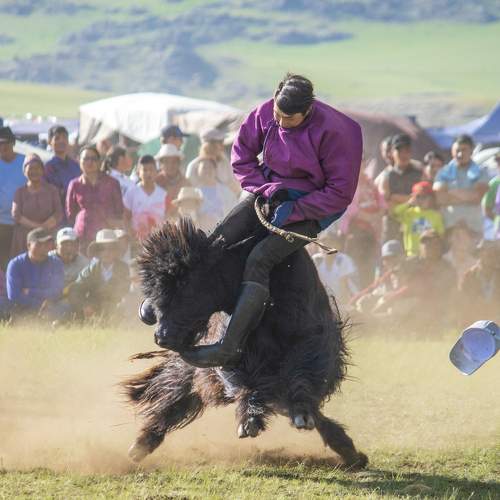 Photo #9989964