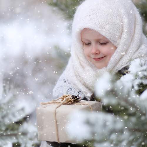 Photo #9990238