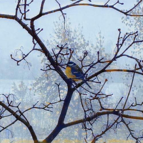 Photo #9990298