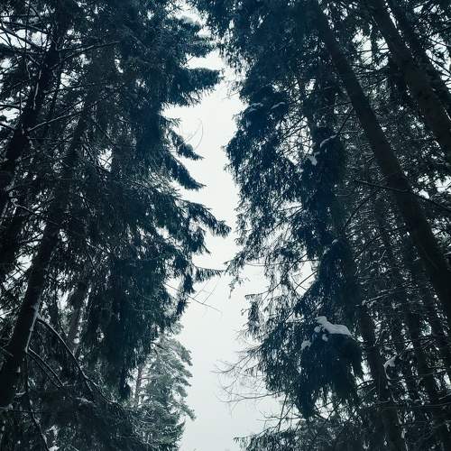 Photo #9990519
