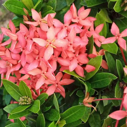 Photo #9990739