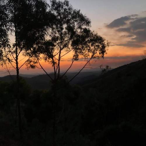 Photo #9991081