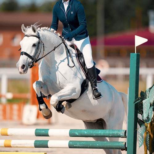 Photo #9991243