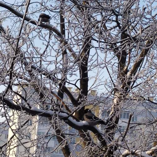 Photo #9991339