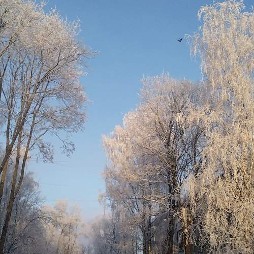 Photo #9991581