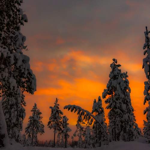 Photo #9992132