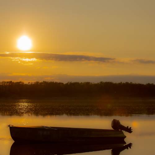 Photo #9992156