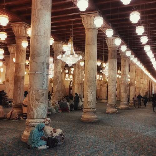 Photo #9992367