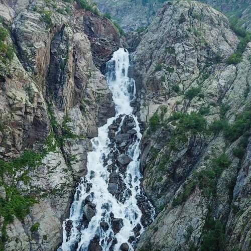 Photo #9992472