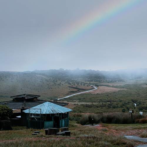Photo #9993033
