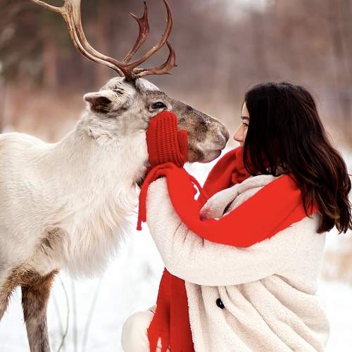 Photo #9993122