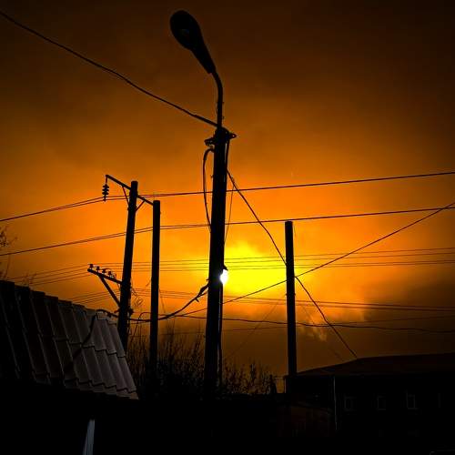 Photo #9993148