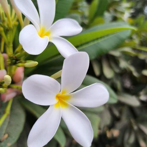 Photo #9993523