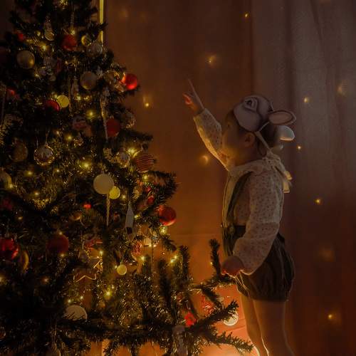 Photo #9993631