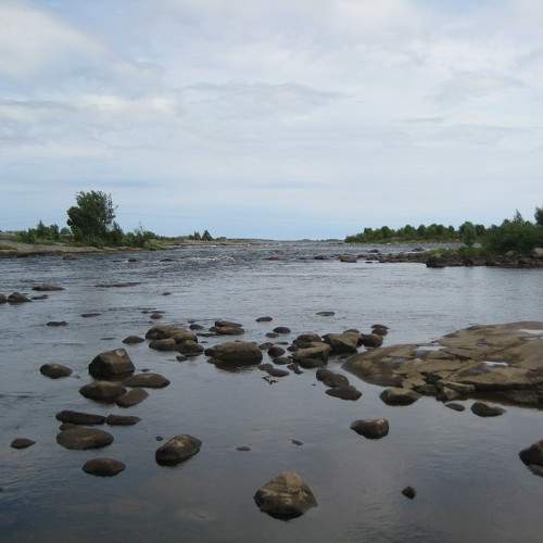 Photo #9994165