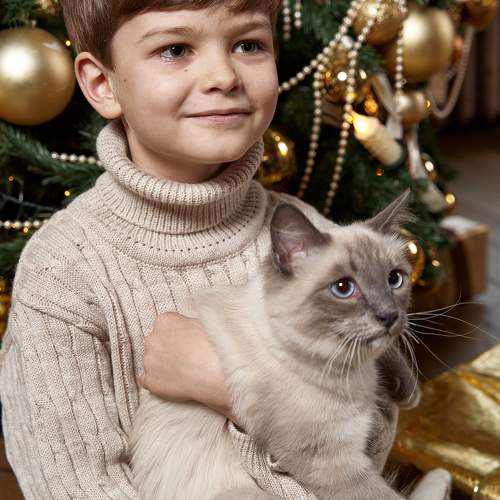 Photo #9994169