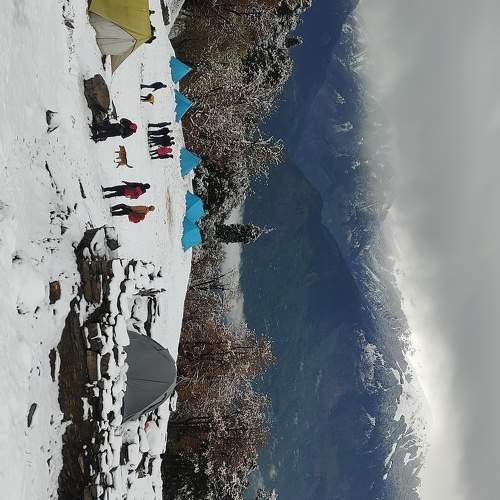 Photo #9994198